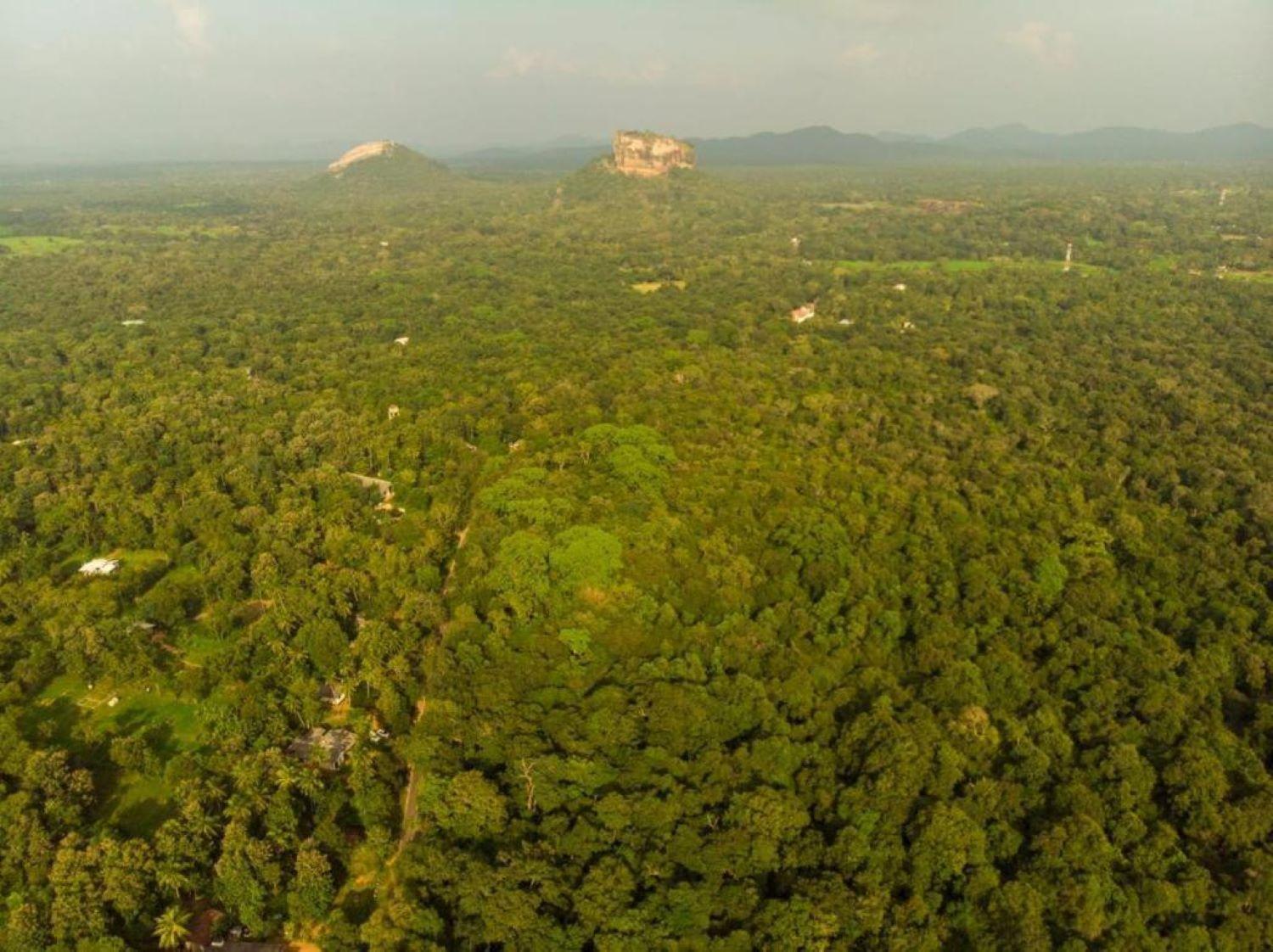 Sigiri Sandilu Homestay Sigiriya Exterior foto
